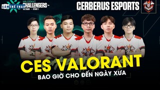 CERBERUS ESPORT VALORANT | CÁI BÓNG CỦA QUÁ KHỨ