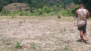 panalo galinng farm yong kalaban
