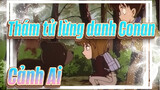 [Thám tử lừng danh Conan] Cảnh Ai/ TV212(228)-1 Mushroom,Mountain Bear & Detectives Team_1