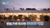 [ENG SUB] NANA TOUR with SEVENTEEN EP6-1 Seafood feast