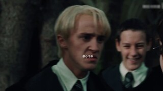 【Drarry/Deha】ฉันชอบนายมากเกินไป丨Xiaoban丨Chen Li丨Draco Malfoy x Harry Potter丨DMHP