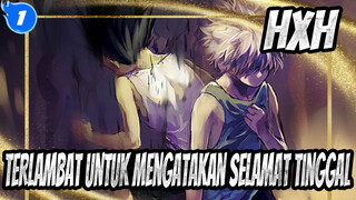 HUNTER×HUNTER Terlambat untuk mengatakan selamat tinggal dan ceritanya telah berkahir_1