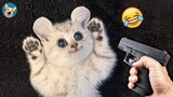 🙀 OMG So Cute ♥ Funny Cats and Dogs 2021| Aww Pets