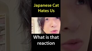 The Most Savage Cat in Japan