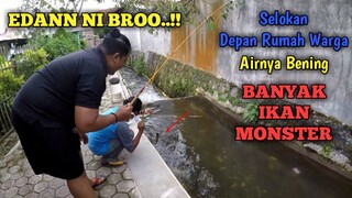 EDANNN...!! MANCING DI SELOKAN DEPAN RUMAH ISINYA IKAN MONSTER BROO!!