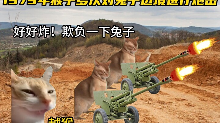 真理只在大炮的射程之内