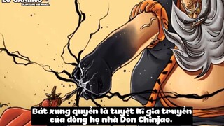 Top 7 Bộ Võ Công Quyền Cước Trong One Piece p2