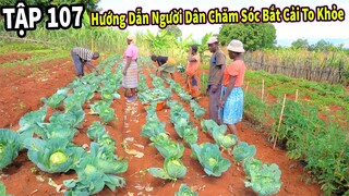 (Tập 107) Nông Nghiệp VIỆT NAM ở Châu Phi || Hướng Dẫn Người Dân Bản Địa Chăm Sóc Bắp Cải To Khỏe