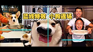 蓝线特效挑战合集 之小狗限定版