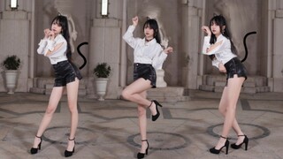 你 家 的 猫 吗 ？性感风初尝试！猫步轻悄~AOA【浅惗】
