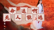 第一次点映,以前管这叫随份子???看完了,眼肿了,心伤了,睡不着了#杨紫小夭#张晚意玱玹#檀健次相柳#邓为涂山璟#长相思