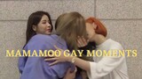 Mamamoo Gay Moments
