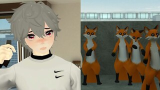 When a fox breaks into a house