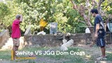 Arayata Dom Joe Goode Grey Cross VS Swhite First Spar