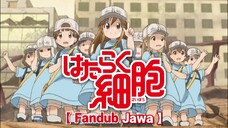 【 Fandub Jawa 】Tutorial Ala Loli - Hataraku Saibou (by Nezukamui)