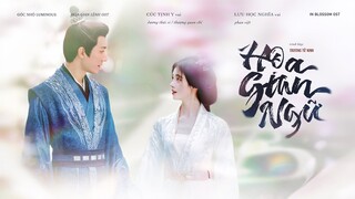 【VIETSUB】Hoa Gian Ngữ – Trương Tử Ninh (Hoa Gian Lệnh OST) | 花间语 — 张紫宁 《花间令 OST》