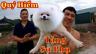 Món Quà Đặc Biệt Tặng Sư Phụ Săn Bắt Ẩm Thực Vùng Cao|Chó Trắng Quý Hiếm|Phương QN