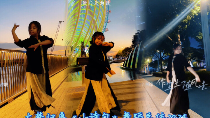 因为有我们的不放弃 才会有一个又一个新的转机～用大梦归离《小诗句》舞蹈总结2024