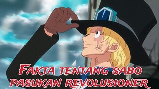 fakta menarik tentang sabo revolusioner