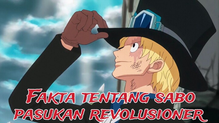 fakta menarik tentang sabo revolusioner