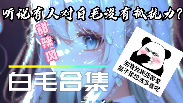wallpaper全是白毛壁纸推荐
