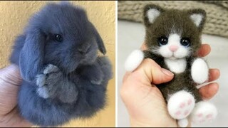 AWW SO CUTE! Cutest baby animals Videos Compilation Cute moment of the Animals - Cutest Animals #28