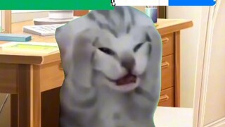 【Cat Meme】Cuộc sống hàng ngày của mẹ Nunu 2→Các dịp khác nhau