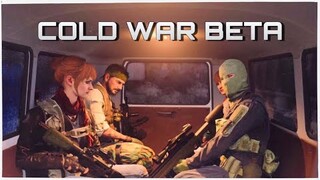 The Cold War Beta is Chill but I want S&D