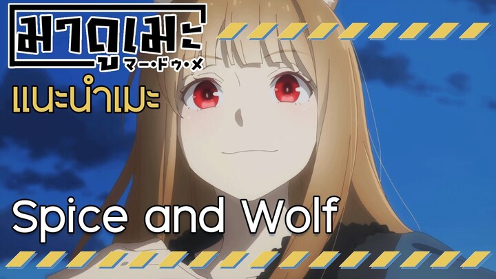 「แนะนำอนิเมะ」Spice and Wolf พ่อค้าหนุ่มกับเทพหมาป่าสาว