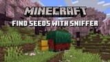 Minecraft Sniffer | MinecraftSnapshot