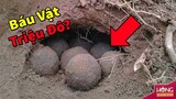 Đào được "quả cầu đất" bí ẩn, người nông dân kinh hãi sau khi đập vỡ nó| Hóng Khám Phá