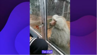 Cho hay không cho nói một lời
