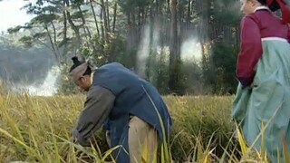jewel in the palace episode 17
