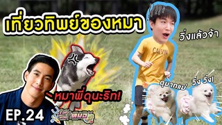 #เรื่องของหมอ​ EP24 I เที่ยวทิพย์บุกโรงแรมน้องหมา feat.หมาของพี่โตโน่