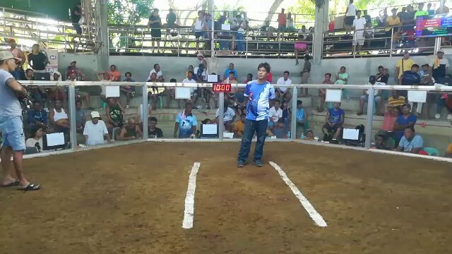 tilasay win second entry 2wins event WL