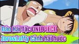Đảo Hải Tặc ONE PIECE| Kẻ thù lớn nhất củaZoro là Luffy?!