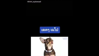 โดนล้อ