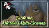 [Gintama] Gintoki's Cute Scenes