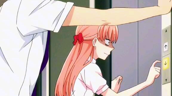 wotakoi