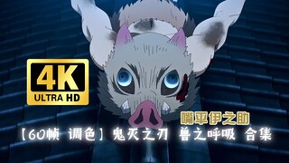 [การแก้ไขสี 4K 60 เฟรม] ดาบพิฆาตอสูร Breath of the Beast Collection [Inosuke Mouhira]