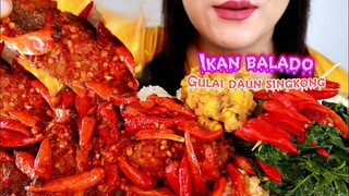 ASMR IKAN BALADO + GULAI DAUN SINGKONG +  BAKWAN JAGUNG | ASMR MUKBANG INDONESIA