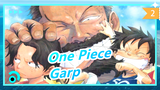[One Piece] Garp--- I'll Not Sympathize Bad Guys, but We're Family_2
