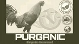 Purganic Organic Dewormer