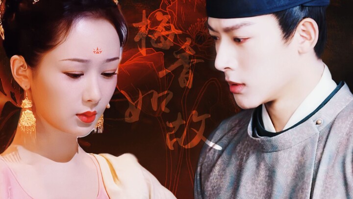 "My dearest ones hurt me the most!" | Yang Zi x Zhang Wanyi | The original story of Chang Xiang Si