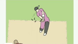Cricket animation made by FlipaClip