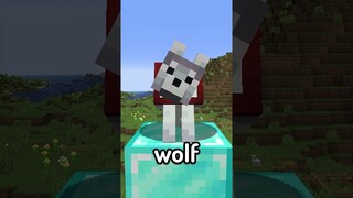 new doggies were added to minecwaft