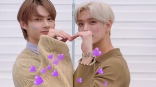 แมวจุนฮุยในช่วงเนื้อแก้ม