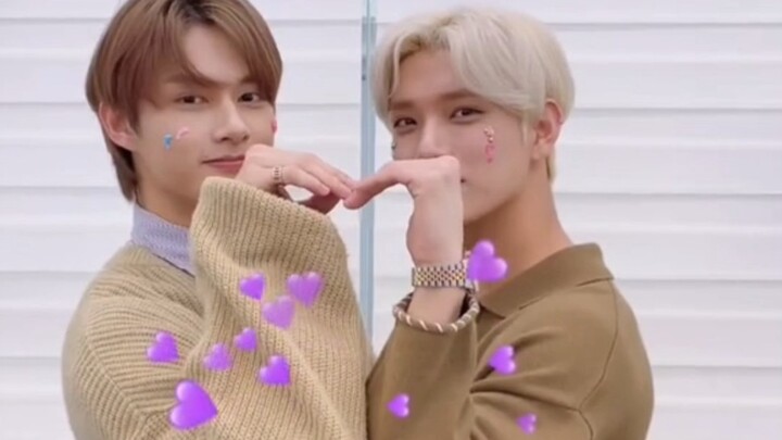 แมวจุนฮุยในช่วงเนื้อแก้ม