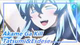 Akame Ga Kill|Tatsumi,Esdese, she really likes you. This smile is guarded by me!_2