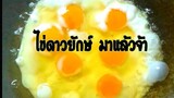 ไข่ดาวยักษ์ ดาวไข่  ไข่ทอด Fried egg